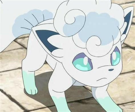 Alolan Ninetales Alolan Vulpix Eevee All Pokemon Catch Em All