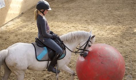 Voetballen Met Je Paard Bit Cap