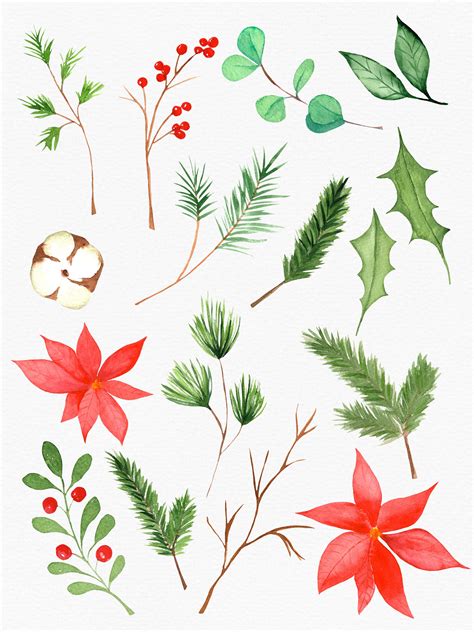 Winter Greenery Clipart Watercolor Winter Clipart Watercolor Greenery ...