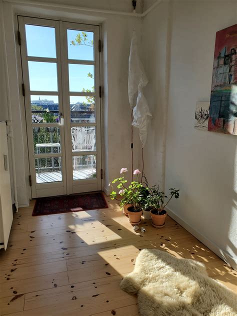 Diving into history… The Turtle’s Journey – Cyranny's Cove