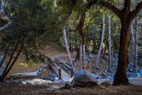 Essential Hiking Trails In Los Angeles Miyako Hybrid Hotel