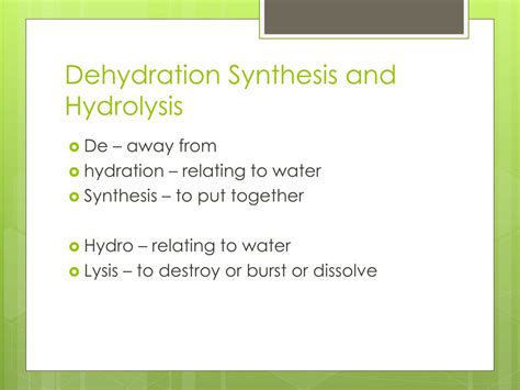 Ppt Dehydration Synthesis And Hydrolysis Powerpoint Presentation