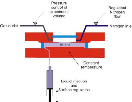 Simplified sketch of the experiment cell. | Download Scientific Diagram