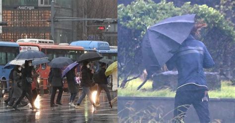 화요일29일 날씨 전국 흐리고 비밤부터 시간당 최대 30mm 위키트리