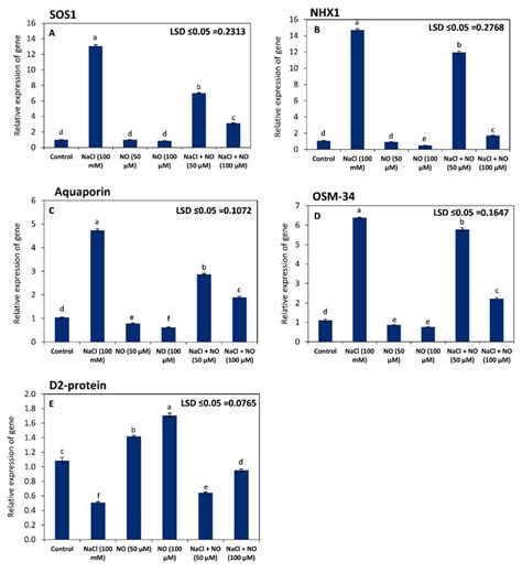 Effect Of Salinity Stress 100 MM NaCl On Relative Gene Expression Of