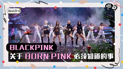 Blackpink新专辑「born Pink」身为blink的你不可以不懂的事💖 ｜pink Venom 歌曲名字原来是这个意义啊～！｜首登