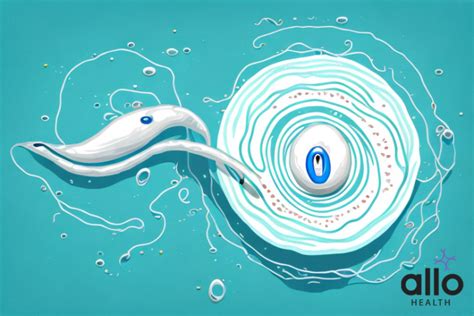 Understanding Sperm Viscosity What You Need To Know Allo Health