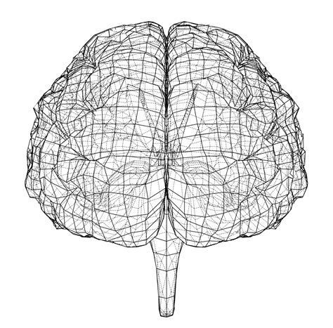 Hình ảnh Phác Thảo 3d Não Thông Minh Png Sáng Tạo Khung Dây Hàng Png Trong Suốt Và Vector để