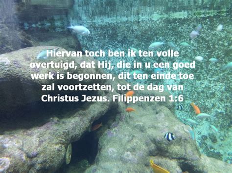 De Dag Van Christus Jezus Bemoedigende Bijbelteksten