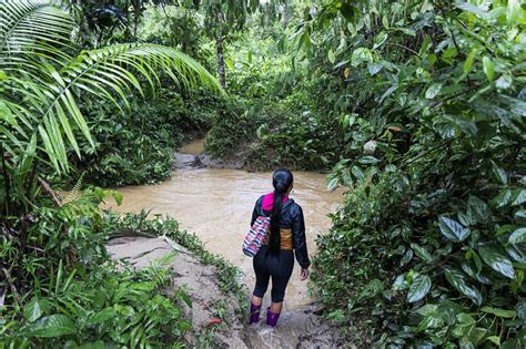 L Nderinfo Ecuador Robinson Im Netz