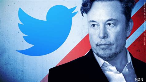 Elon Musk Says He Will Begin Restoring Previously Banned Twitter