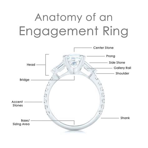 Parts Of A Ring Diagram Good Consumer Unit Design And Low El