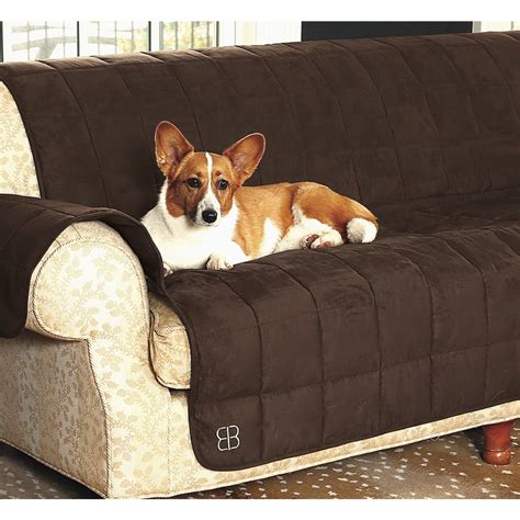 Protective Sofa Covers For Pets Pets Animals Us