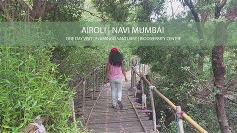 Airoli Navi Mumbai Flamingo Sanctuary Coastal And Marine