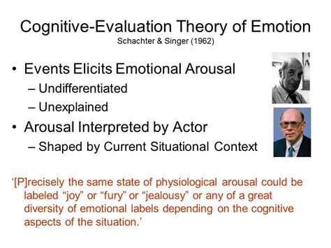 Cognitive Appraisal Theory Of Emotion Flow Chart - Minga