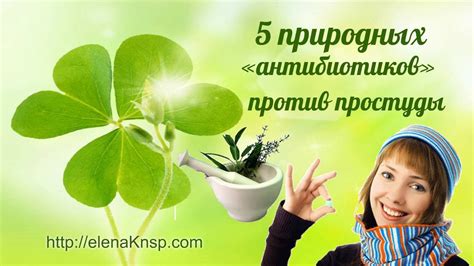 Природные антибиотики против простуды - YouTube