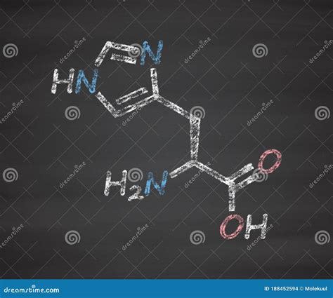 Histidine L Histidine His H Amino Acid Molecule Stock Illustration