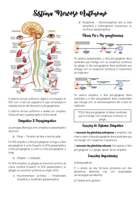 Sistema Nervoso Aut Nomo Farmacologia Veterin Ria Sistema Nervoso