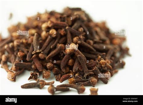 Studio Shot Of Indian Spices Clove Stock Photo Alamy