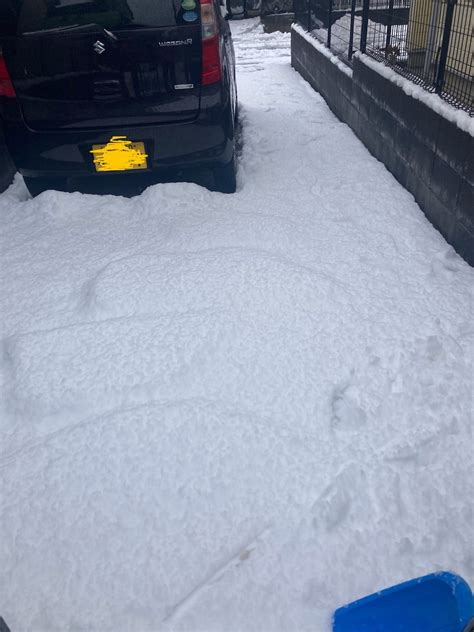 久しぶりの雪！ ピラティス部 のぶりん カラダの事登山の事、発信してまーす