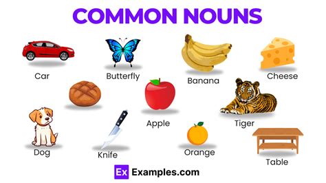 Common Noun 8 Examples Format How To Distinguish Pdf