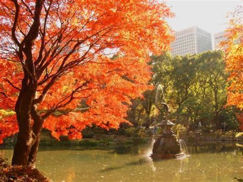 Hibiya Park - Tokyo