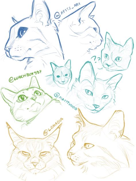 Cat Face Drawing Reference - Cats v by jennomat on deviantart.