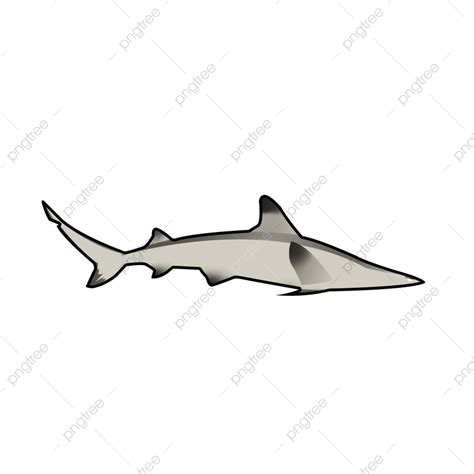 Sharking Clipart Vector Shark Big Shark Marine Life Ocean Day Png