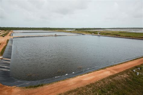 América Latina muestra el camino a seguir para la producción sostenible