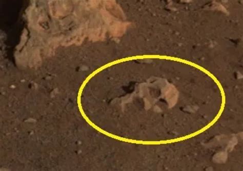 Alien Skull Seen In New Mars Rover Image And Other Fun Anomalies Spotted On The Red Planet This