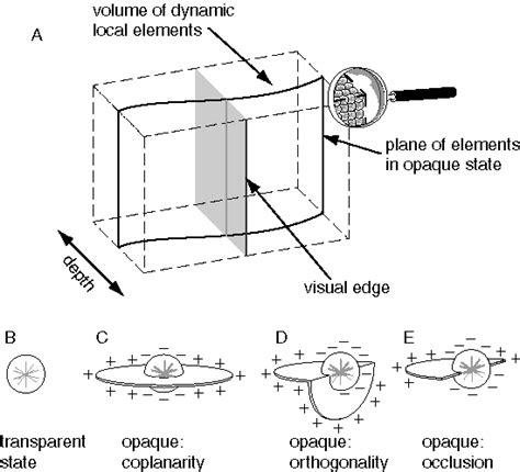 Gestalt Isomorphism