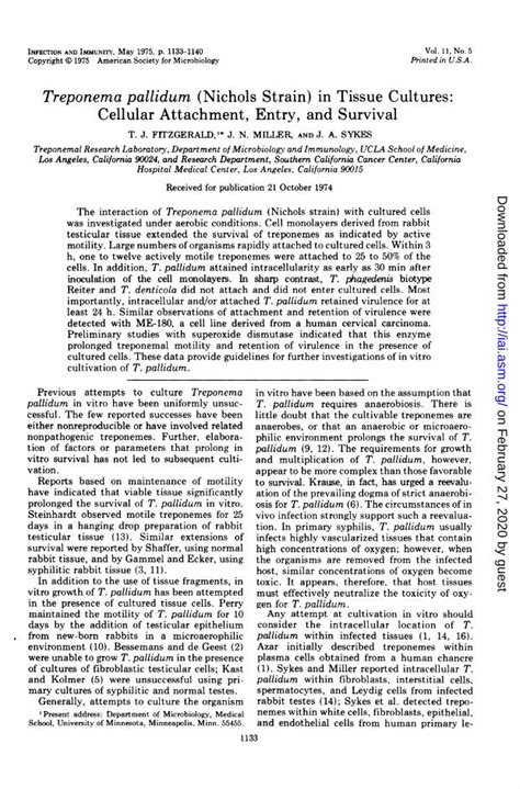 PDF Treponema Pallidum Nichols Strain In Tissue Cultures Osis