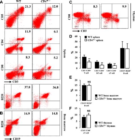 Flow Cytometric Analysis Of Cells Isolated From The Spleens Thymuses