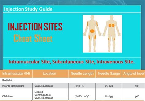 3 Types Of Injection Sites Cheat Sheet Injections Medical Practice