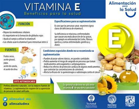 Beneficios De La Vitamina E De Y Su Importancia Para La Salud