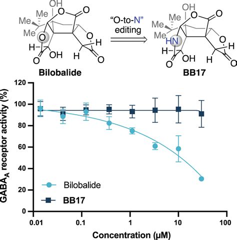 Lactone To Lactam Editing Alters The Pharmacology Of Bilobalide Jacs Au