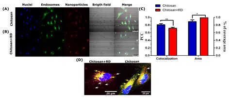 Membranes Free Full Text Rational Discovery Of Antimicrobial