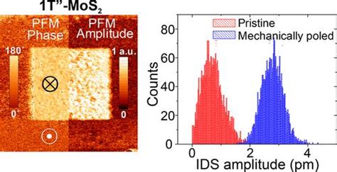 揭开二维铁电金属1T MoS2的压电性 ACS Materials Letters X MOL