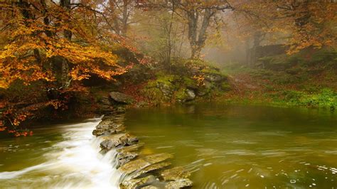 Brown Rock River Pathway Nature Landscape River Forest Hd Wallpaper