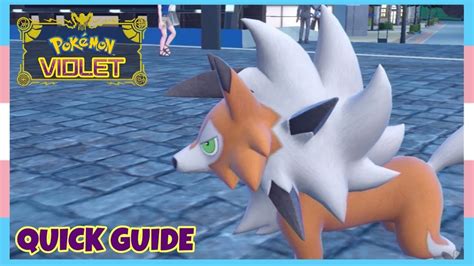 Pokemon Scarlet Violet How To Evolve Rockruff Into Dusk