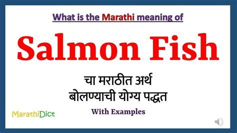 Salmon Fish Meaning in Marathi | Salmon Fish म्हणजे काय | Salmon Fish ...