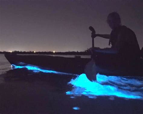 Bioluminescence Kayak Tour - Port Gamble, Washington - Olympic Outdoor Center