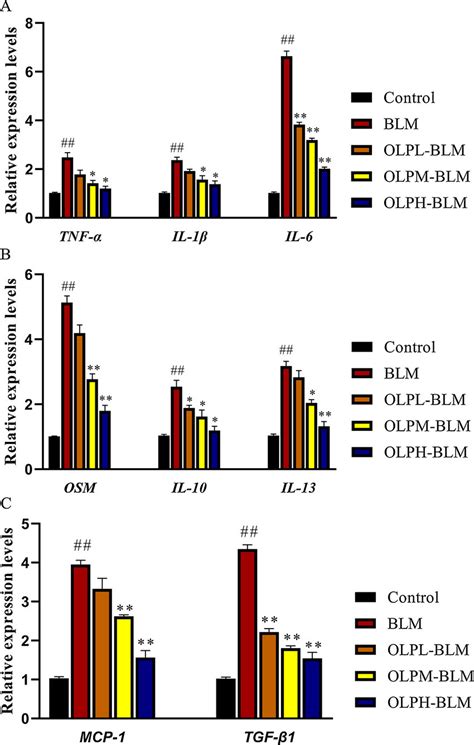 Gene Expression Levels Of Some Pro Inflammatory And Pro Fibrogenic Download Scientific Diagram