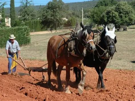 Photos Saint Saturnin L S Apt Tourisme Vacances Week End