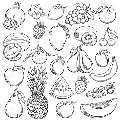 Dessiner des fruits | Logo HD