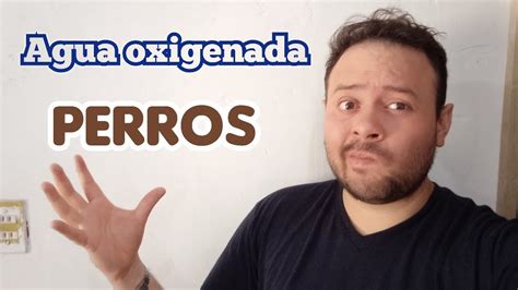 La Toxicidad Del Agua Oxigenada En Los Perros Arjal