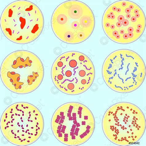 Gestileerde Afbeelding Van Verschillende Soorten Bacteriën Stock