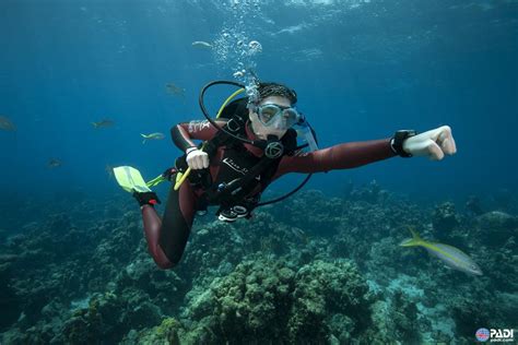 Padi On Twitter Got Your Padi Certification Check Out The Padi