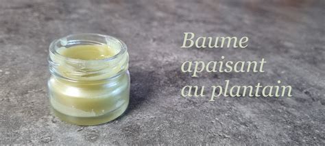 Comment Fabriquer Un Baume Apaisant Base De Plantain