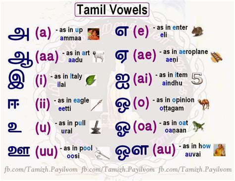 Learn Tamil தமிழ் கற்றுக் கொள்ளுங்கள் Tamil Letters 12 Vowels